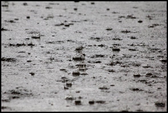 Showers