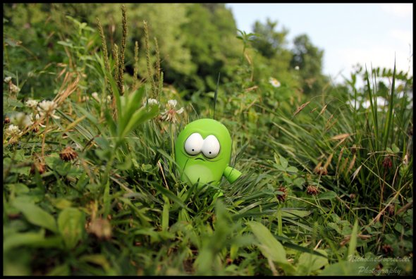 Lost