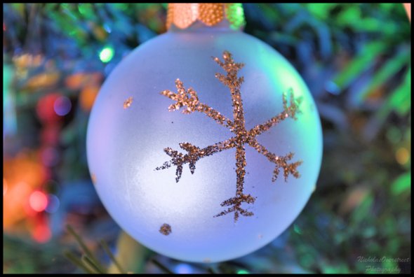 Happy Holidays